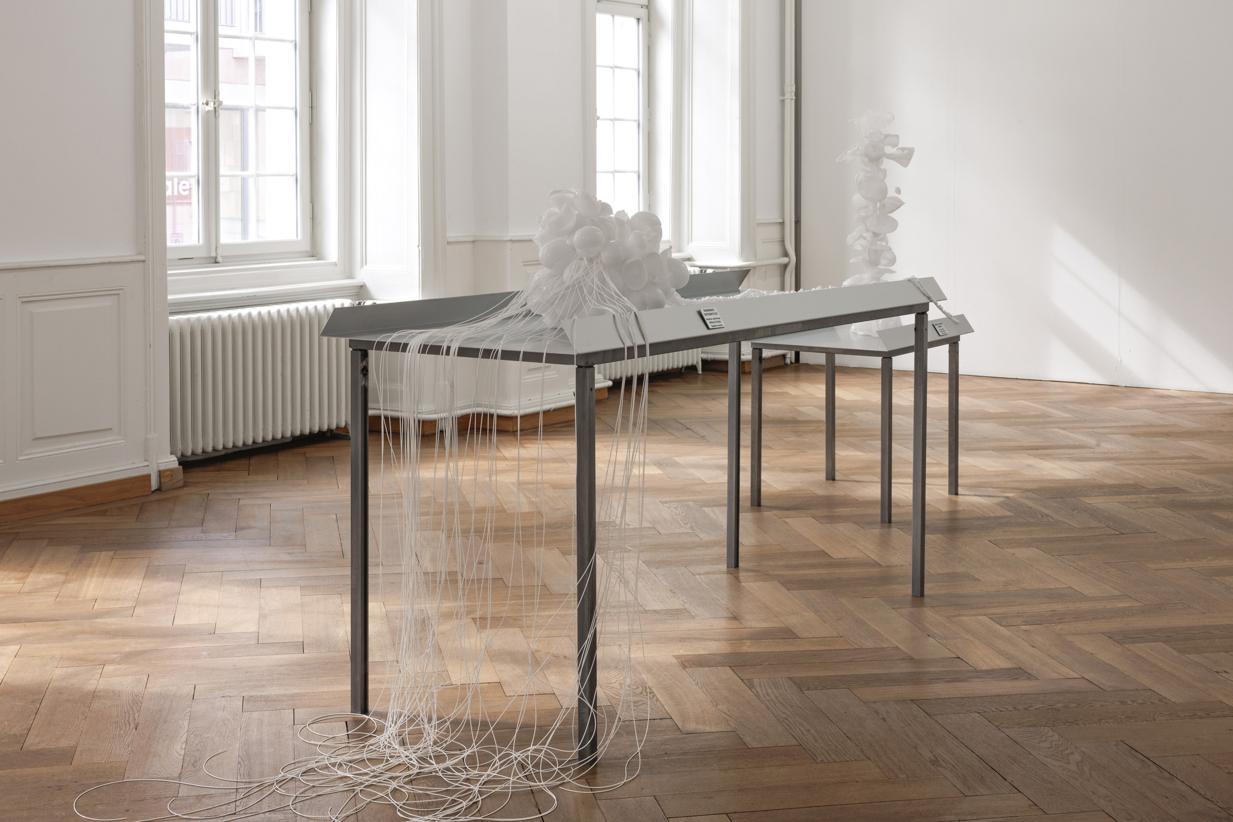 Le Jardin des autres, vue d'installation, Kunsthaus Langenthal