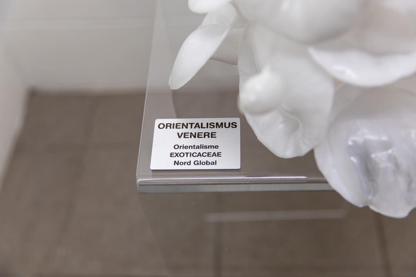 Détail sculpture 45x50x65 cm socle plexiglas