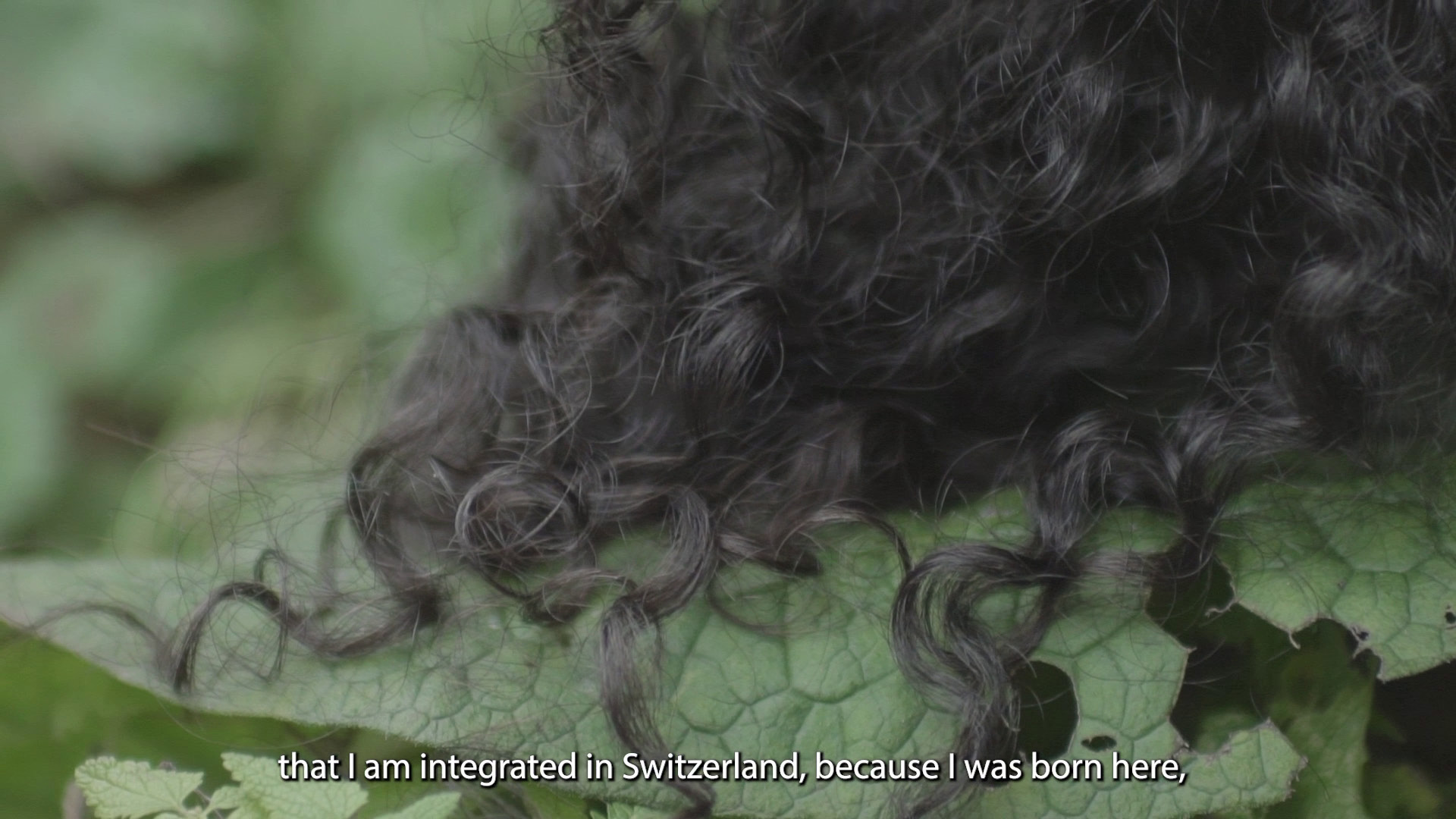 XWE capture — that I am integrated in Switzerland, because I was born here,